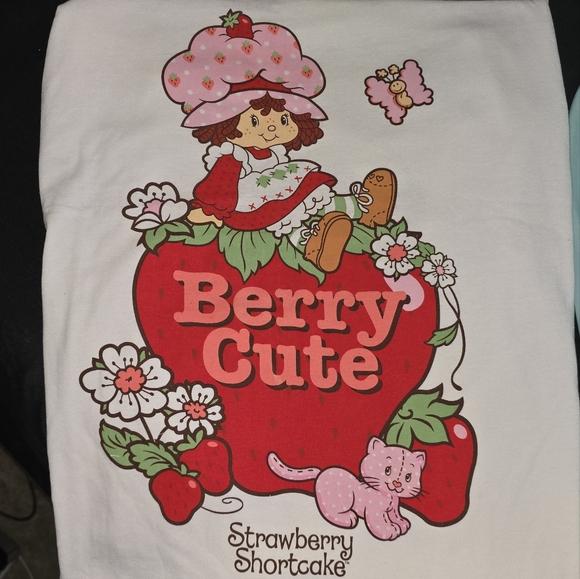 The World of Strawberry🍓Shortcake🍰 SS Tee🍓 NWT 'Vintage' Depiction of 🍓🍰XL - Picture 8 of 16